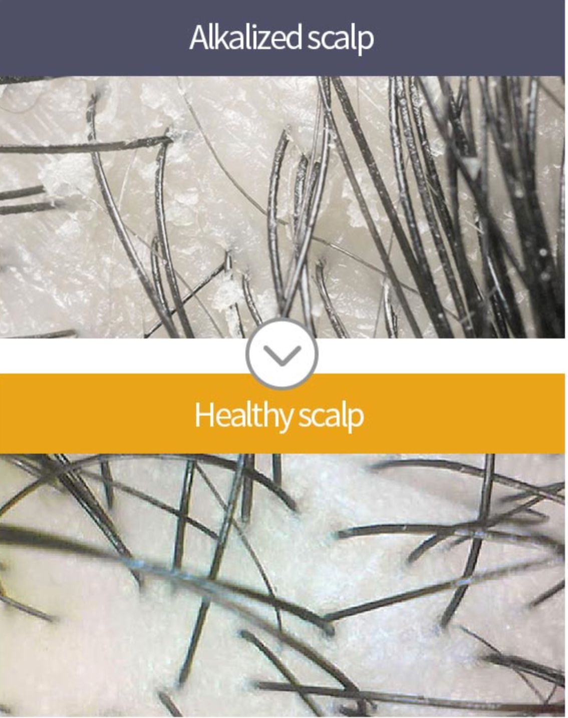 A'PIEU - RASPBERRY HAIR VINEGAR