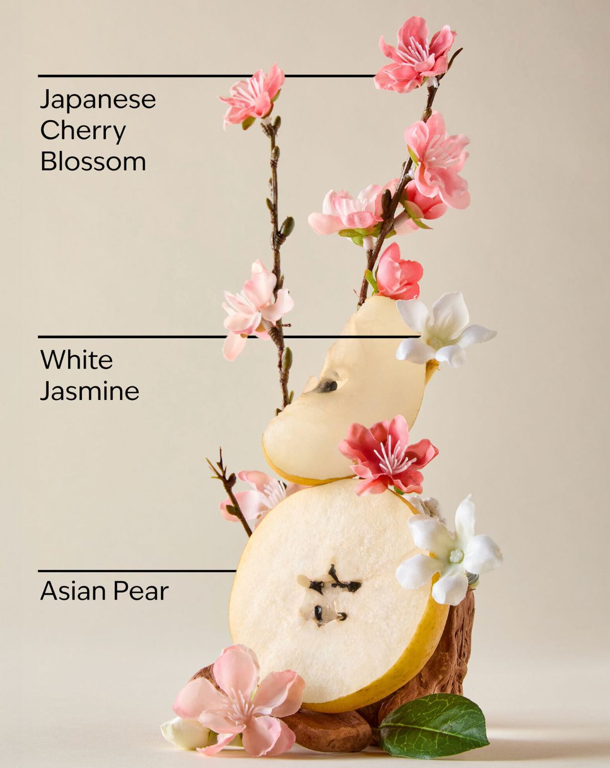 BATH AND BODY WORKS - Japanese Cherry Blossom
